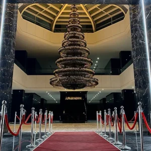 باکارا وویدی